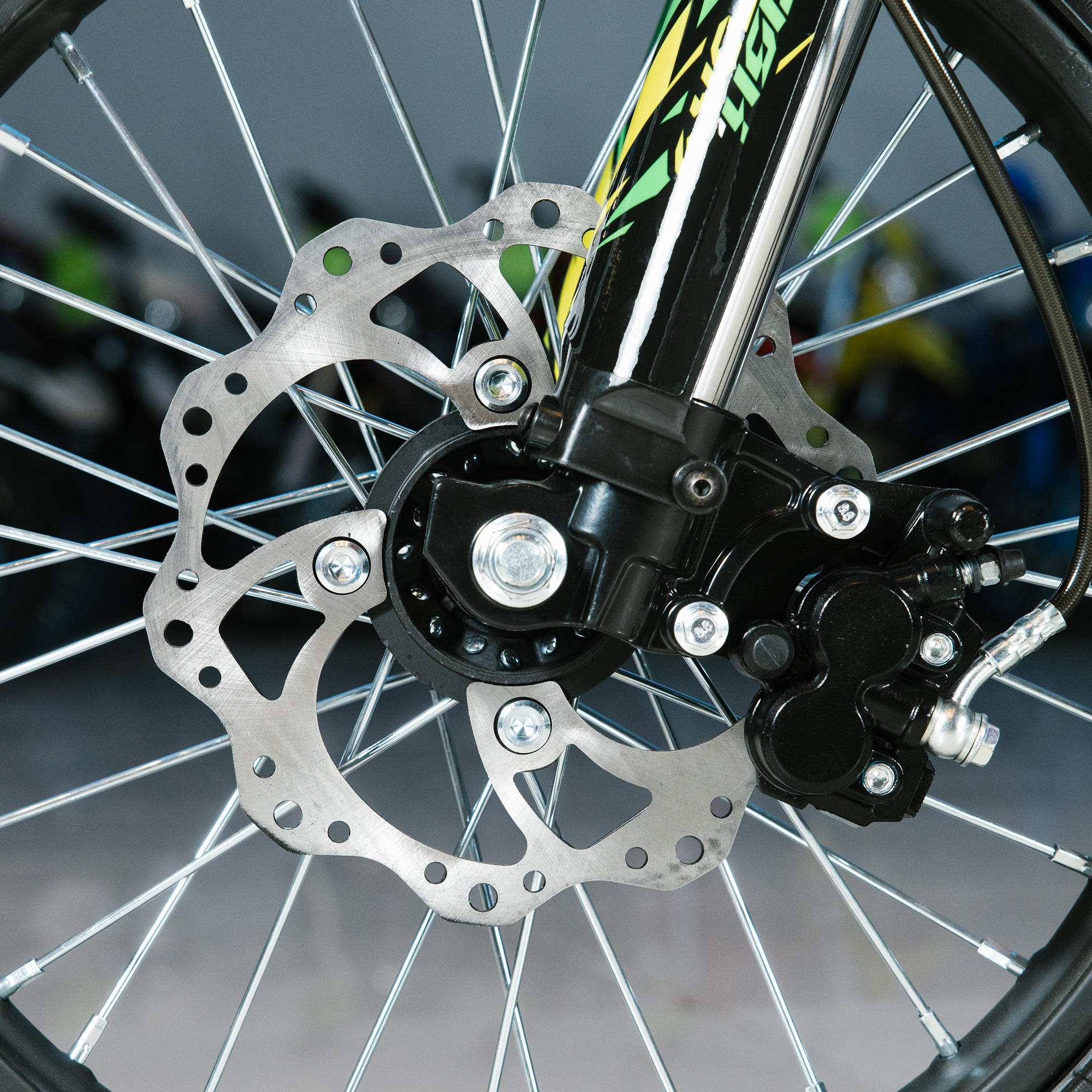 IMG_6895