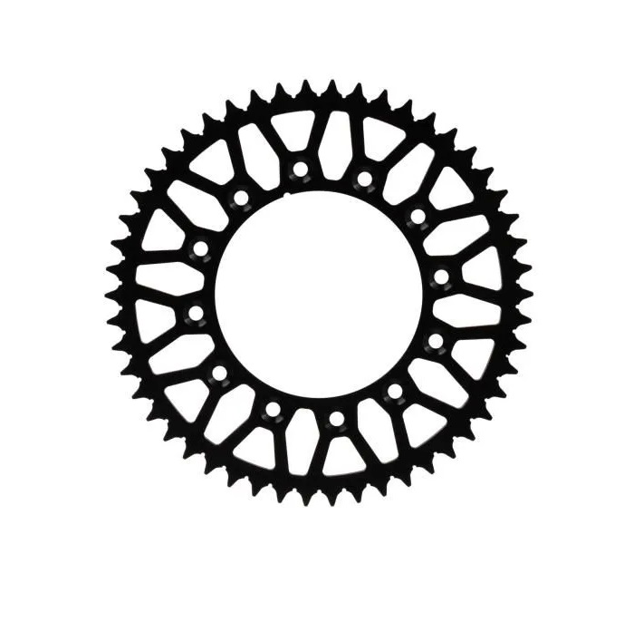 7655981800